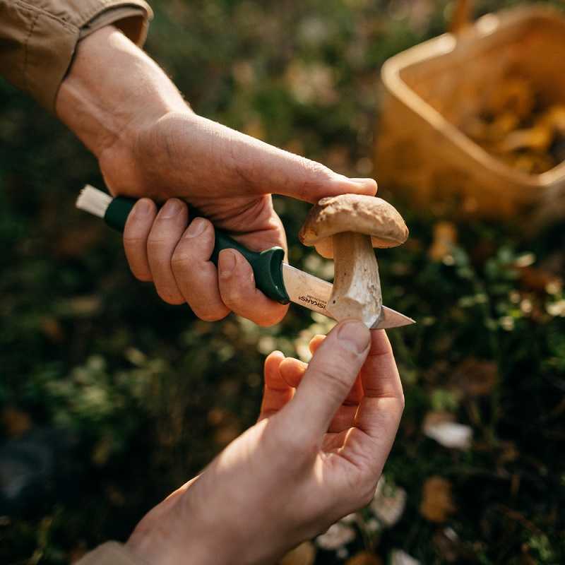 Ніж для грибів Fiskars 21 см (1070166) — мініатюра 2
